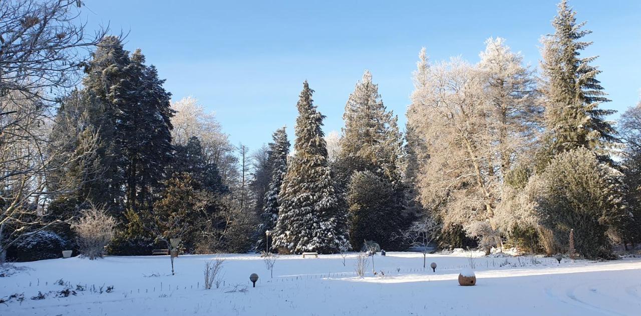 MaisonMazerand Cirey-sur-Vezouze Kültér fotó