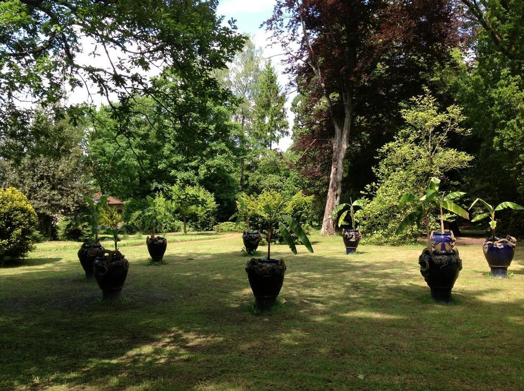 MaisonMazerand Cirey-sur-Vezouze Kültér fotó