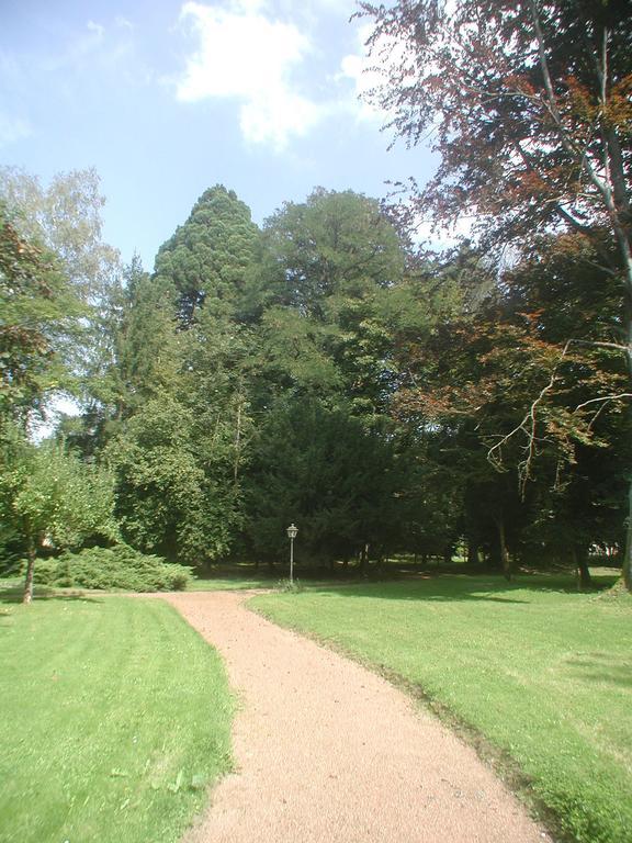 MaisonMazerand Cirey-sur-Vezouze Kültér fotó